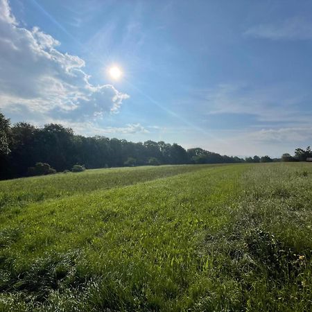 Tinyhaus #1 Huelben - Ortsrand - Kostenlose Parkplaetze Hulben Zewnętrze zdjęcie