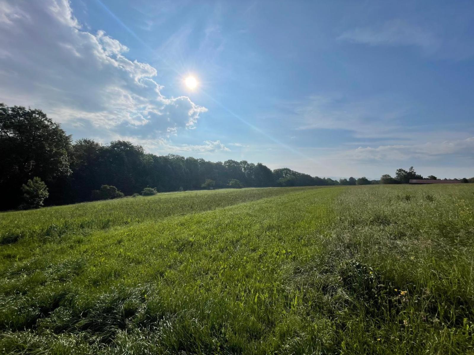 Tinyhaus #1 Huelben - Ortsrand - Kostenlose Parkplaetze Hulben Zewnętrze zdjęcie